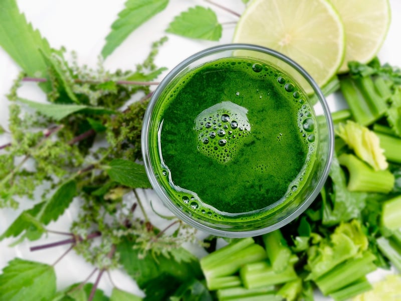 Enchanted Forest Smoothie